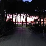 La Pineta 3*