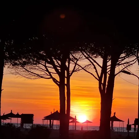 Апарт-отель La Pineta