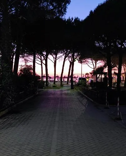 La Pineta 4*